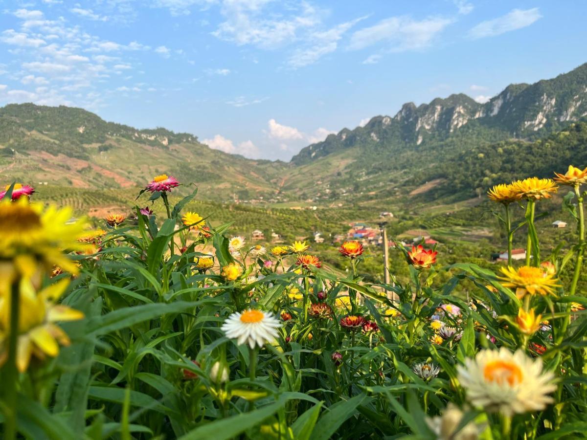 Muong Sang Farmstay モクチャウ エクステリア 写真
