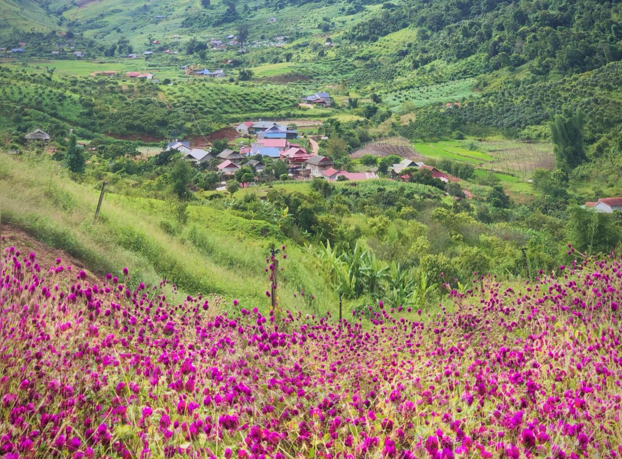 Muong Sang Farmstay モクチャウ エクステリア 写真